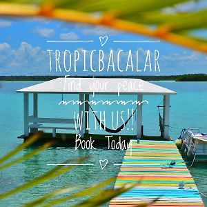 Tropic Bacalar